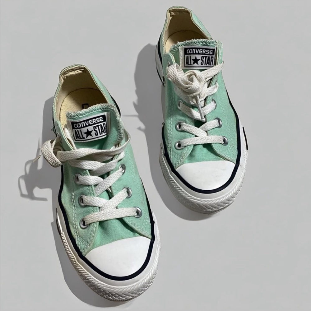 Converse Chuck Taylor All Star Seasonal Low Top Sneaker